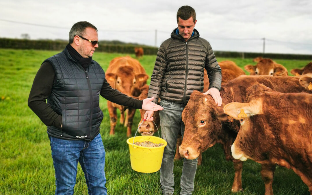 Reportage : La Ferme de Castillon, éleveur d’exception en Normandie