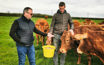 Reportage : La Ferme de Castillon, éleveur d’exception en Normandie